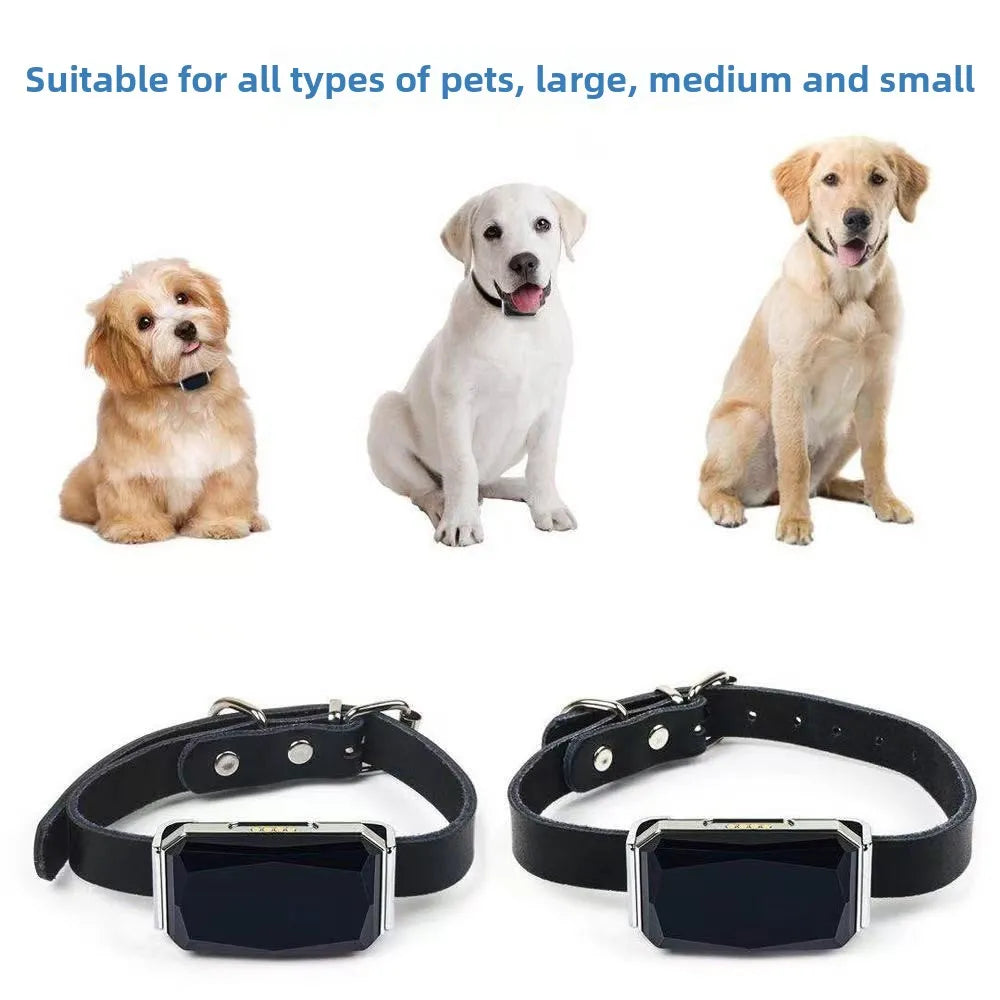 🐾 Pawsome-Track Waterproof GPS Pet Locator
