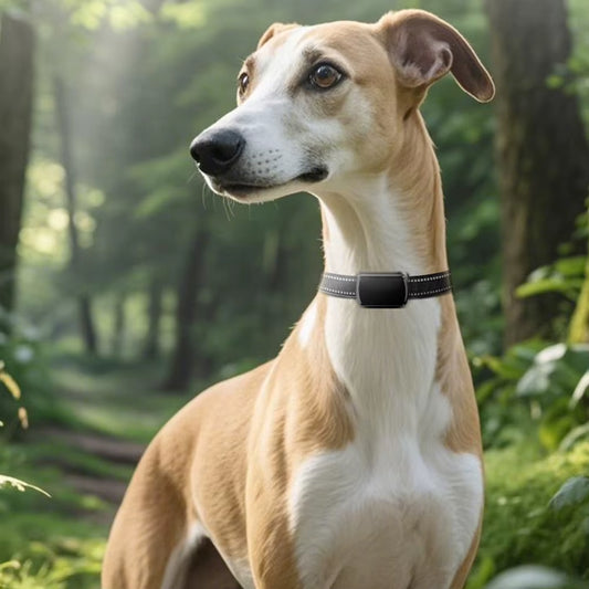 Real-Time Pet GPS Tracker: Smart Bluetooth Locator & Adjustable Collar for Dogs and Cats