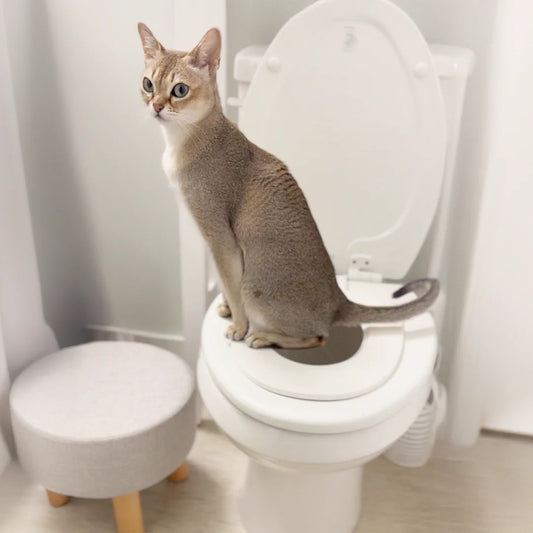 The Cat Throne™: Humane Toilet Training System with Bemis Seat