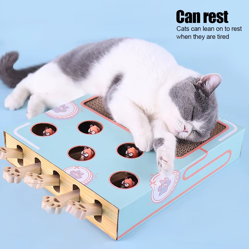 A cat resting on the Purely Pawsome™ Maze Game Box, showcasing its dual-use as a scratcher and a comfortable lounge bed.
