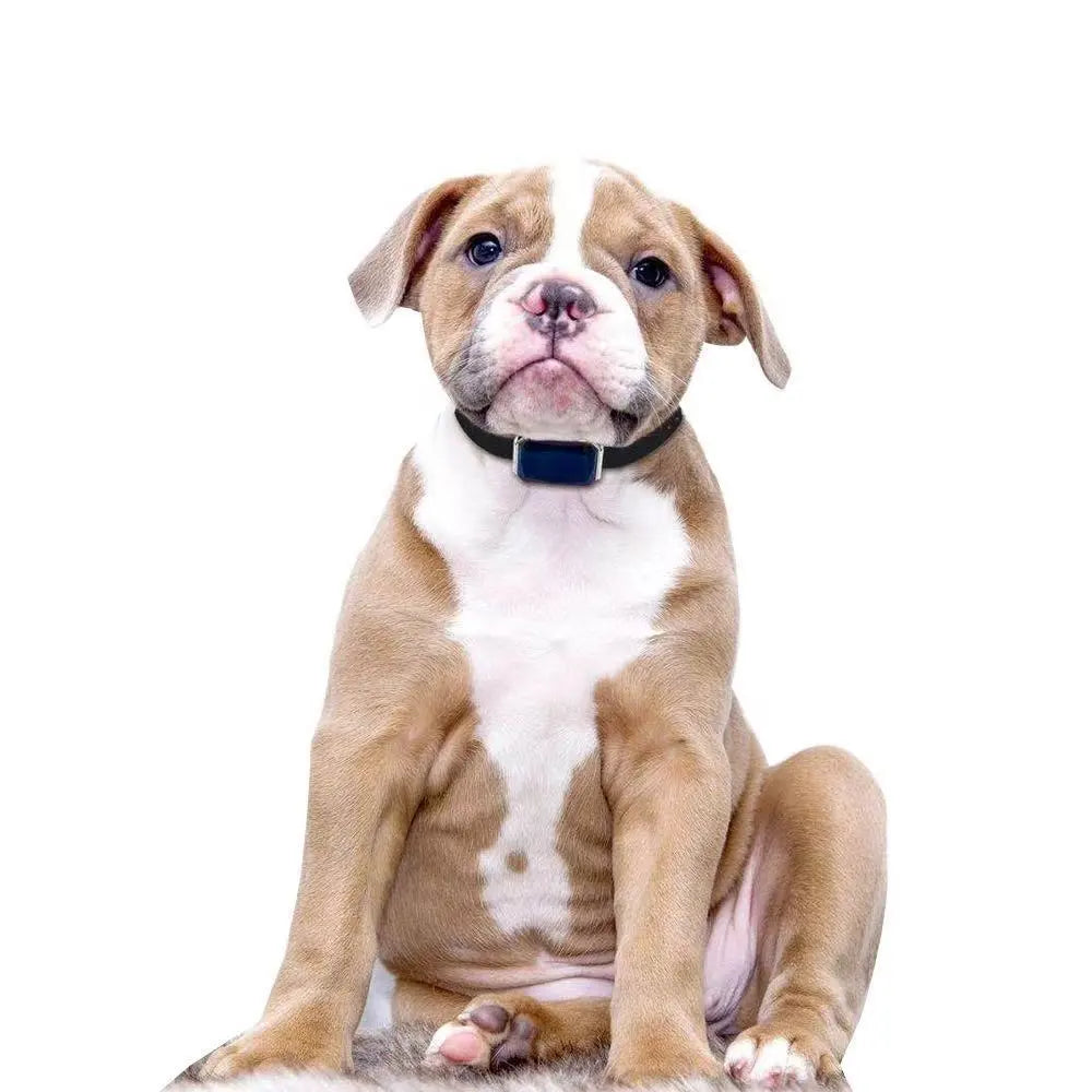 🐾 Pawsome-Track Waterproof GPS Pet Locator