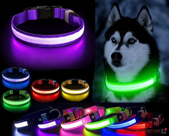 🌟 Ultra-Glow Safety LED Collar – High-Visibility Night Protection
