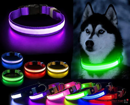 🌟 Ultra-Glow Safety LED Collar – High-Visibility Night Protection