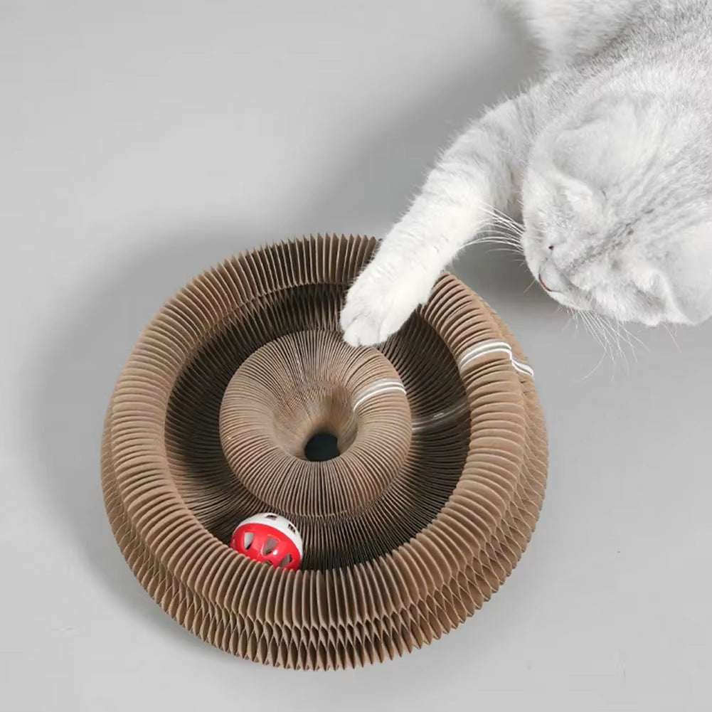 Top-down view of a grey tabby cat batting at a ball within the Pawsome-Flex™ Magic Accordion Scratcher and Toy track, showing the circular corrugated design.