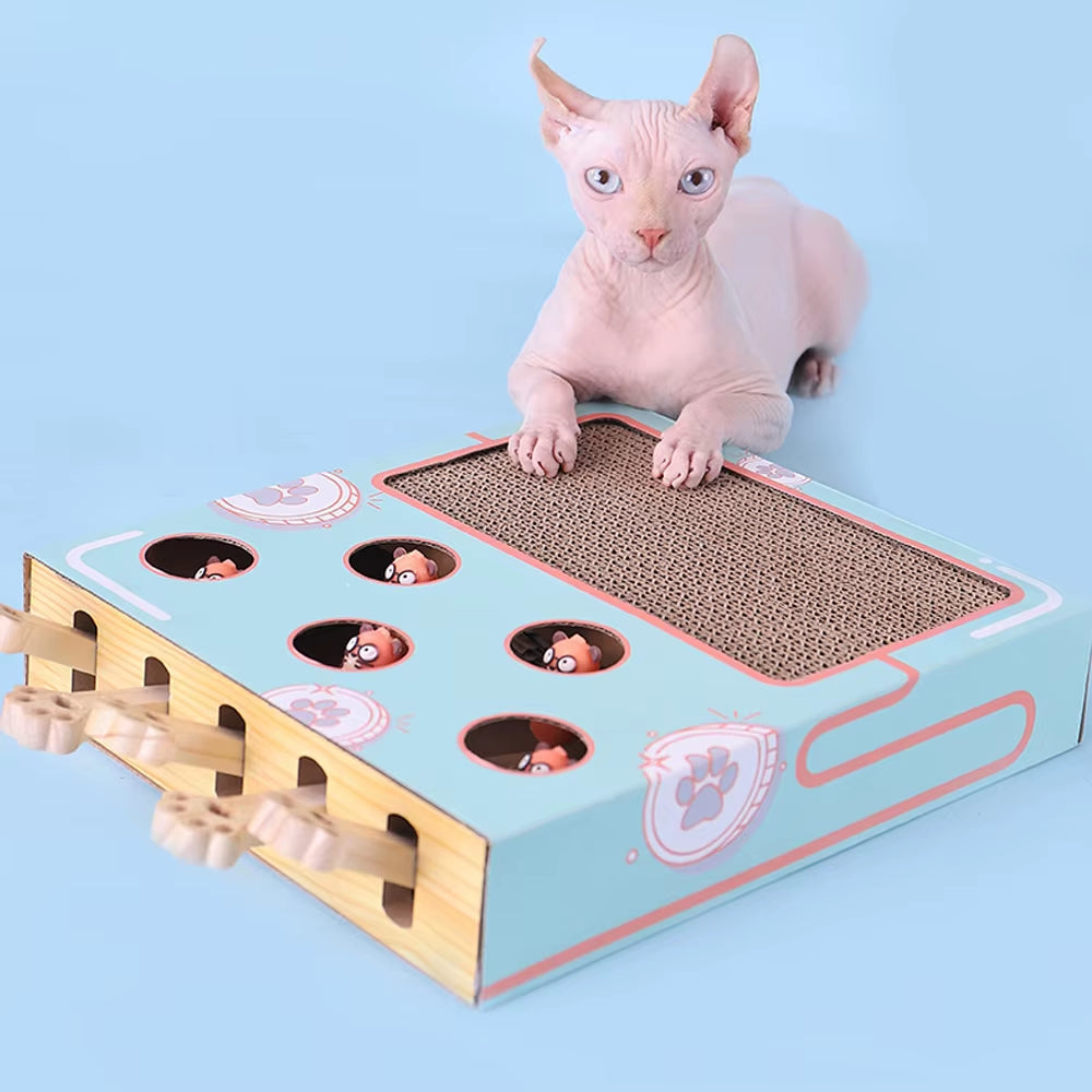 Sphynx cat playing with the Purely Pawsome™ Interactive Maze Game Box – A durable wooden puzzle toy and scratcher designed for indoor cat enrichment.