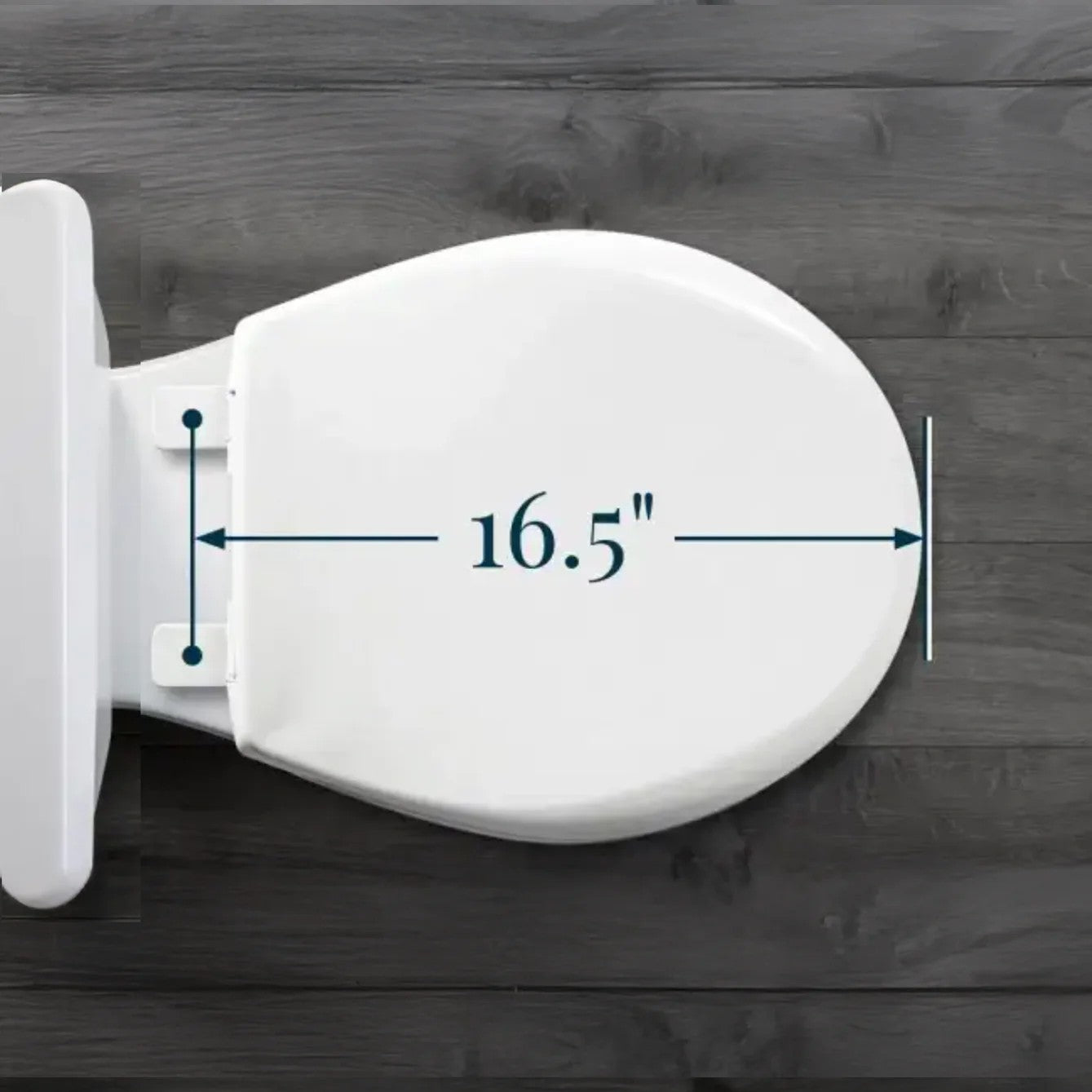 The Cat Throne™: Humane Toilet Training System with Bemis Seat